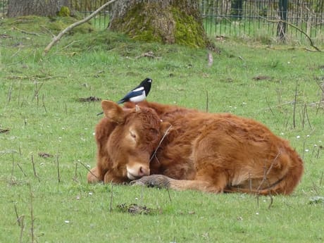 fvdm-1774169906419_0.jpeg fvdm-1774169906419_0.jpeg