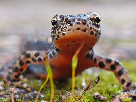 fvdm-1774182501128_0.jpg fvdm-1774182501128_0.jpg