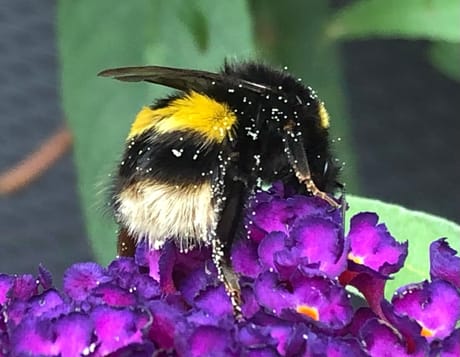 fvdm-1774185432427_0.jpeg fvdm-1774185432427_0.jpeg