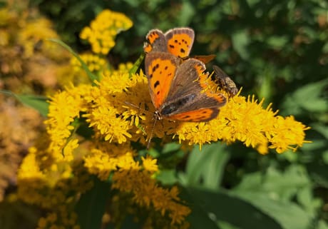 fvdm-1774187230086_0.jpg fvdm-1774187230086_0.jpg