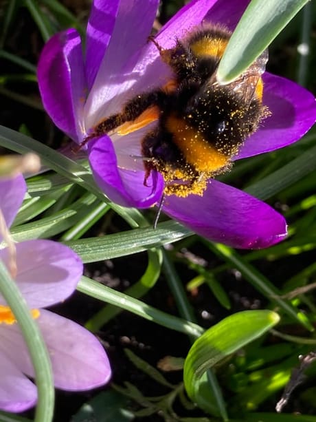 fvdm-1774189000775_0.jpeg fvdm-1774189000775_0.jpeg