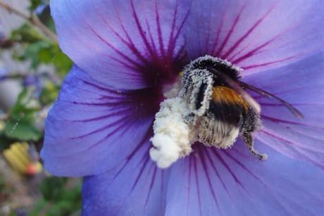 fvdm-1774200236065_0.jpeg fvdm-1774200236065_0.jpeg