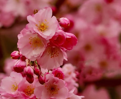 fvdm-1774239487420_0.jpeg fvdm-1774239487420_0.jpeg