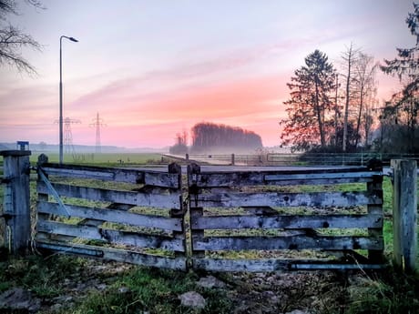 fvdm-1774245464120_0.jpg fvdm-1774245464120_0.jpg