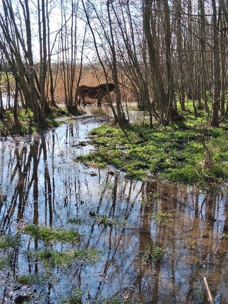 fvdm-1774252227668_0.jpg fvdm-1774252227668_0.jpg