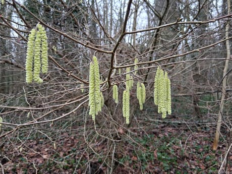 fvdm-1774252352330_0.jpg fvdm-1774252352330_0.jpg