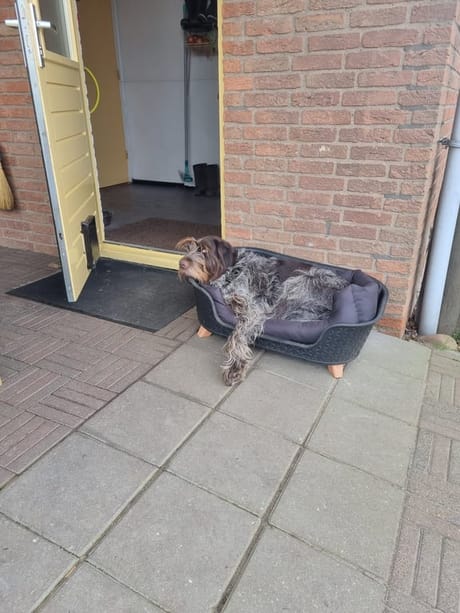 fvdm-1774277125245_0.jpg fvdm-1774277125245_0.jpg