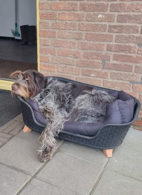 fvdm-1774277855870_0.jpg fvdm-1774277855870_0.jpg