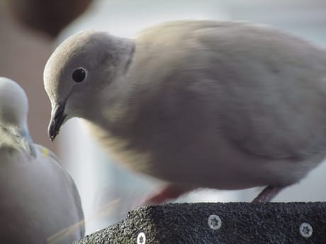 fvdm-1774598213596_0.jpg fvdm-1774598213596_0.jpg