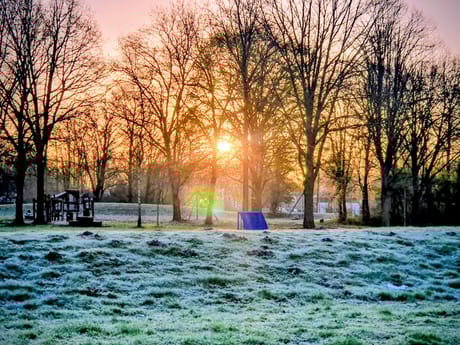 fvdm-1774600133588_0.jpg fvdm-1774600133588_0.jpg