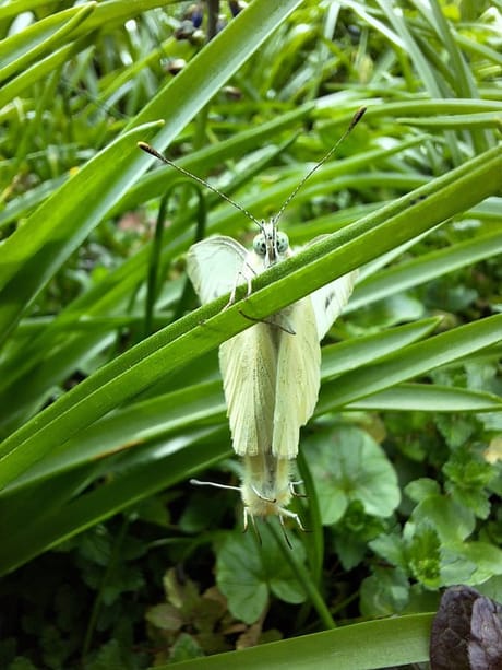 fvdm-1774600855030_0.jpg fvdm-1774600855030_0.jpg