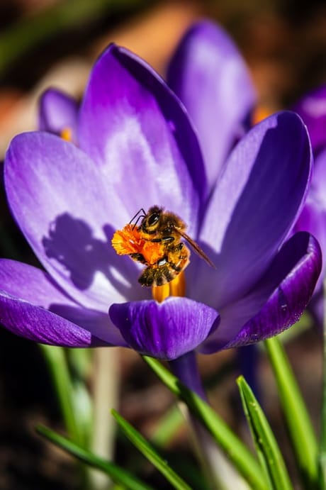 fvdm-1774623541412_0.jpg fvdm-1774623541412_0.jpg