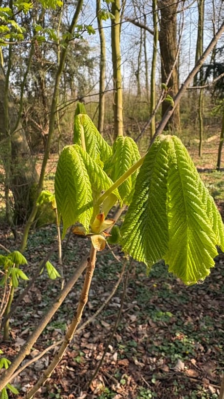 fvdm-1774625493831_0.jpeg fvdm-1774625493831_0.jpeg