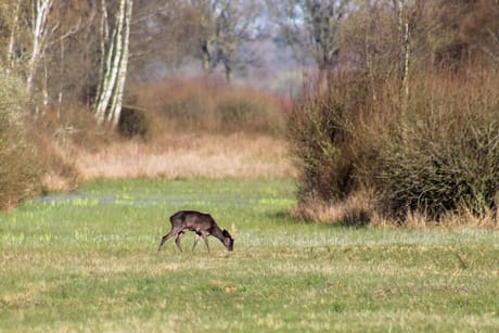 fvdm-1775803049439_0.jpeg fvdm-1775803049439_0.jpeg