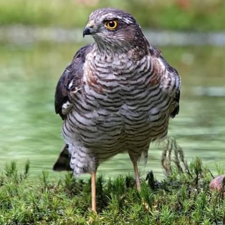 fvdm-1775807483158_0.jpg fvdm-1775807483158_0.jpg