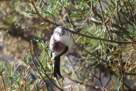 fvdm-1775812271000_0.jpeg fvdm-1775812271000_0.jpeg