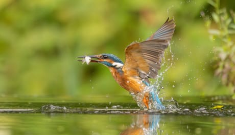 fvdm-1775815827446_0.jpeg fvdm-1775815827446_0.jpeg