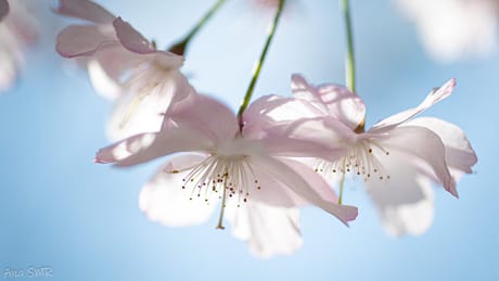 fvdm-1775820361818_0.jpg fvdm-1775820361818_0.jpg