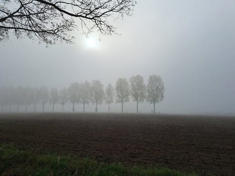 fvdm-1776200884672_0.jpg fvdm-1776200884672_0.jpg