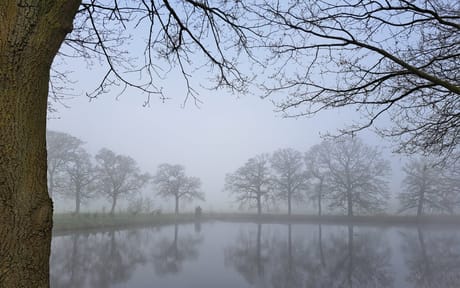 fvdm-1776201079393_0.jpg fvdm-1776201079393_0.jpg