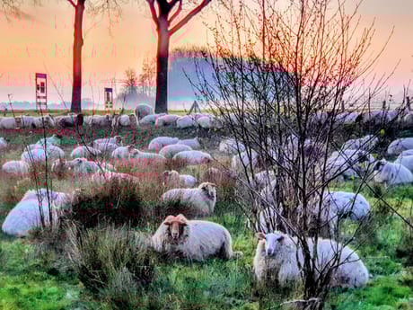 fvdm-1776228377657_0.jpg fvdm-1776228377657_0.jpg