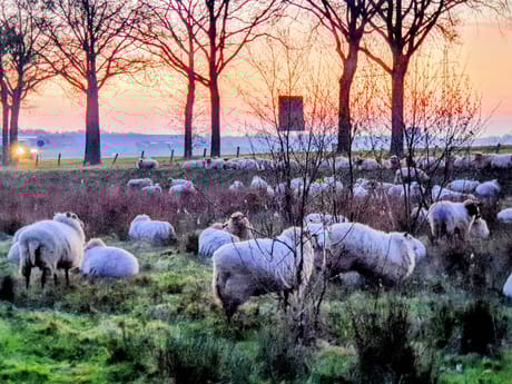 fvdm-1776228510456_0.jpg fvdm-1776228510456_0.jpg