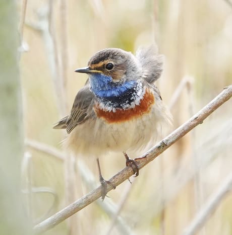 fvdm-1776242502935_0.jpg fvdm-1776242502935_0.jpg