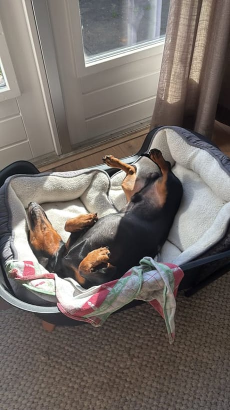 fvdm-1776243977838_0.jpg fvdm-1776243977838_0.jpg