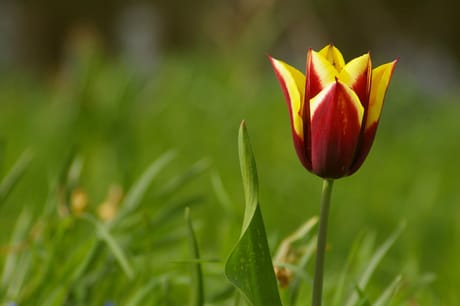 fvdm-1776245878308_0.jpg fvdm-1776245878308_0.jpg