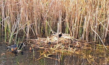 fvdm-1776249851962_0.jpg fvdm-1776249851962_0.jpg