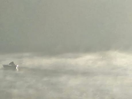 fvdm-1781020722570_0.jpg