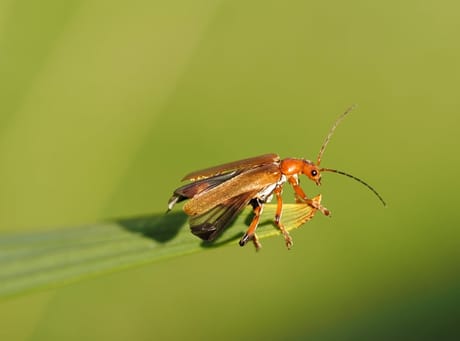 fvdm-1781640032391_0.JPG