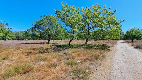 fvdm-1786459711113_0.jpg fvdm-1786459711113_0.jpg