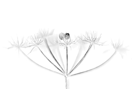 fvdm-1790344623224_0.jpg