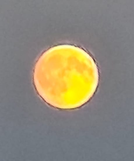 fvdm-1790357613751_0.jpg