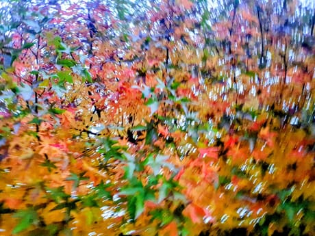 fvdm-1792337212184_0.jpg fvdm-1792337212184_0.jpg