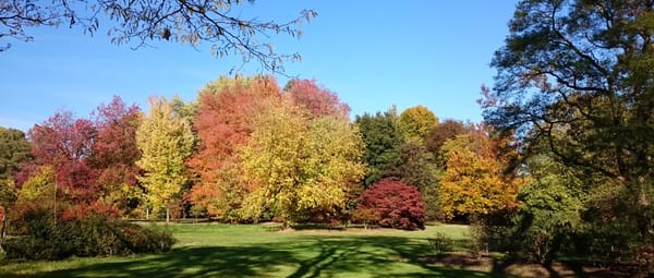 Herfst in het Arboretum "de Poortbulten" in de Lutte