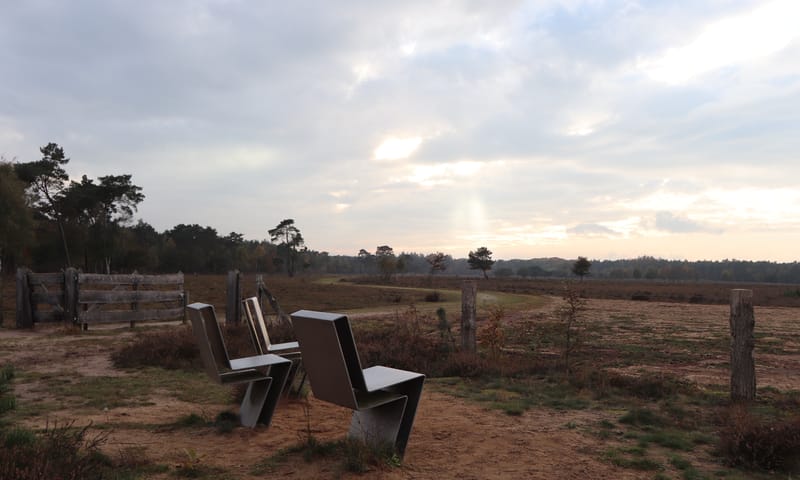 Gorsselseheide in de namiddag.