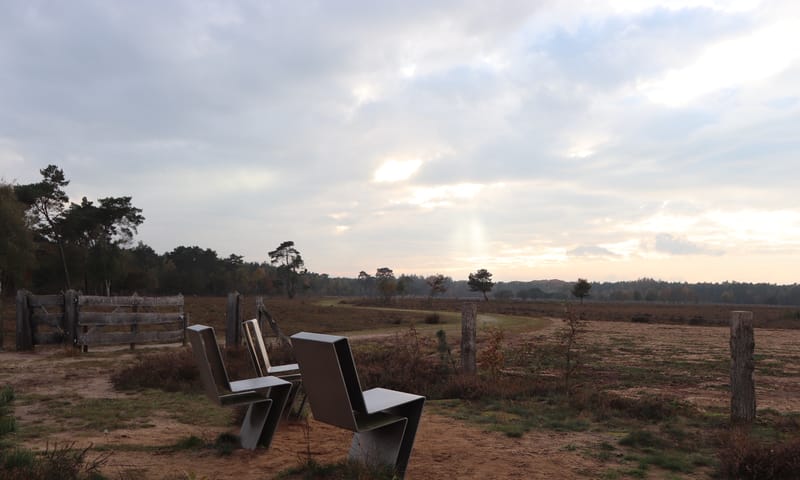 Gorsselseheide in de namiddag.