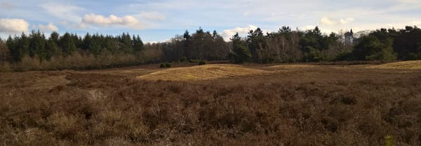 Grafheuvels