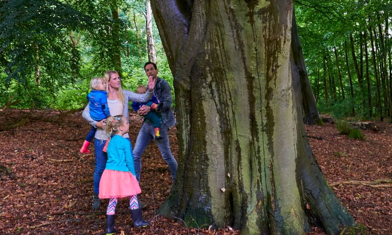 Historische wandelroute Bergherbos