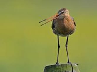 Wandelroute Levensstrijd: ‘langs water en land’, Zeeland