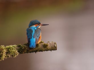 Wandelroute Loondermolenpad