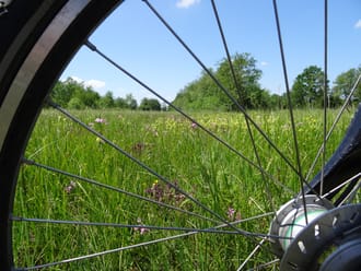 Fietsroute bloemrijke hooilanden in De Wieden