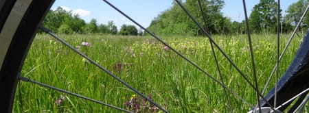 Fietsroute bloemrijke hooilanden in De Wieden