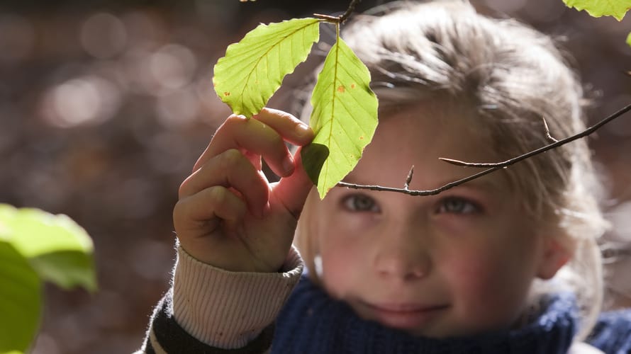 Speelweideroute Voorsterbos, vlakbij Kraggenburg