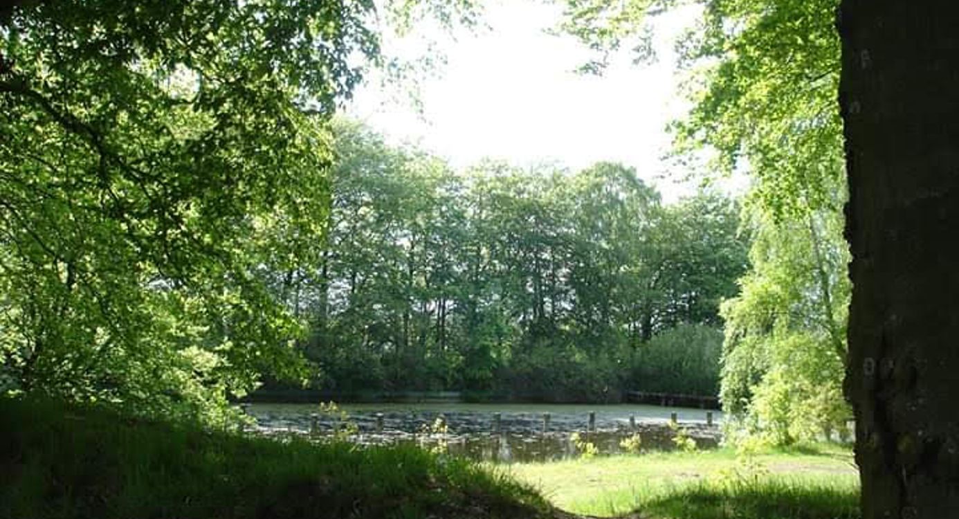 Natuur Smeerling
