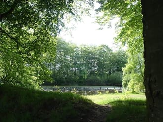 Natuur Smeerling