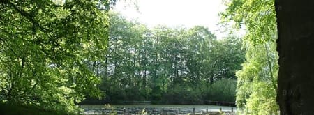 Natuur Smeerling