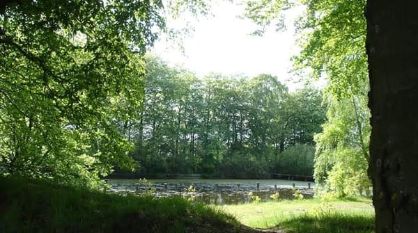 Natuur Smeerling